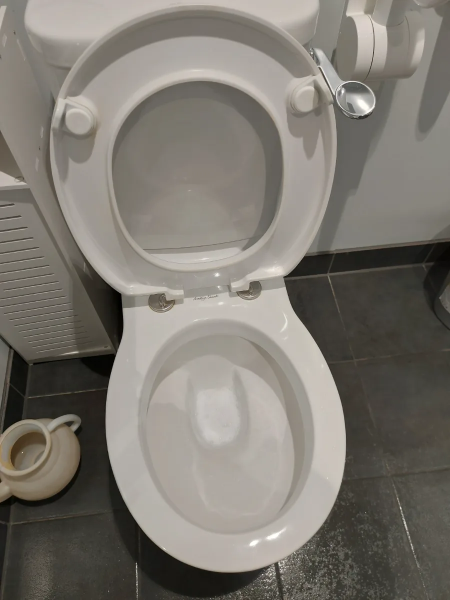 Toilet cleaned and sanitized inside and out