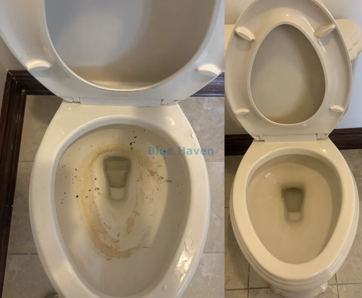 Stained toilet bowl before and after a Blue Haven deep clean